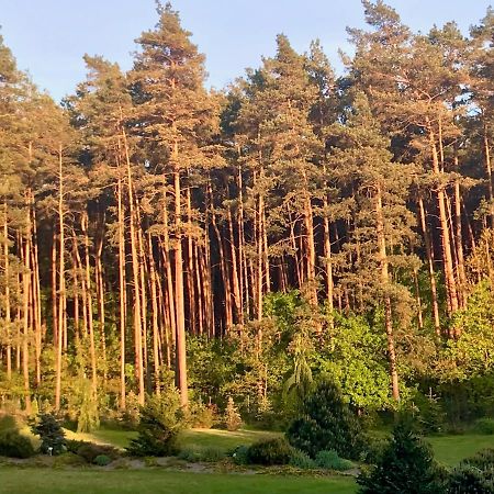 Apartament Przy Lesie Chojno-Blota Wielkie Bagian luar foto
