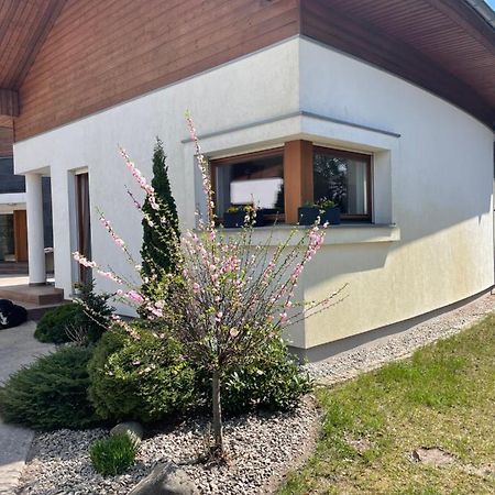 Apartament Przy Lesie Chojno-Blota Wielkie Bagian luar foto