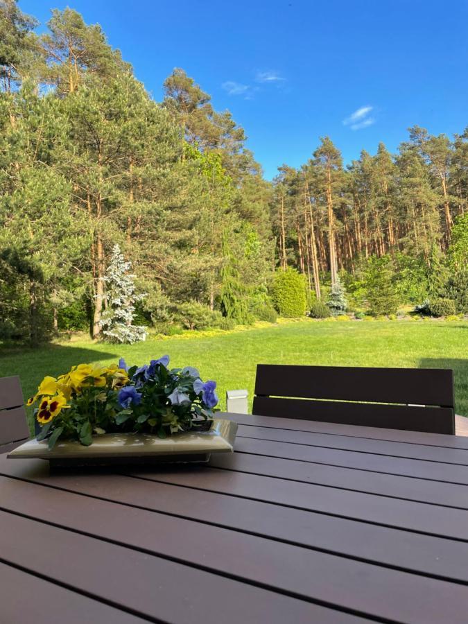 Apartament Przy Lesie Chojno-Blota Wielkie Bagian luar foto